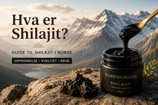 Hva er Shilajit? Guide til Shilajit i Norge